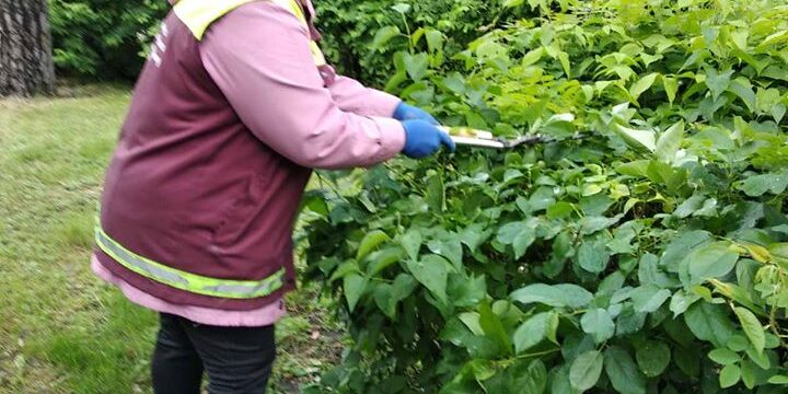 Поліпшення благоустрою