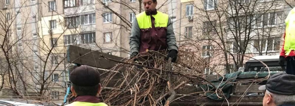 Продовжуємо звільняти підзвітні території від сухих гілок