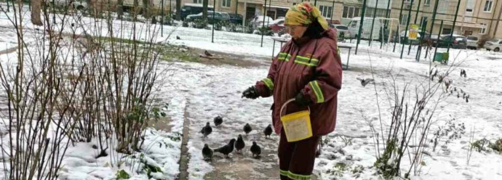 В боротьбі з ожеледицею
