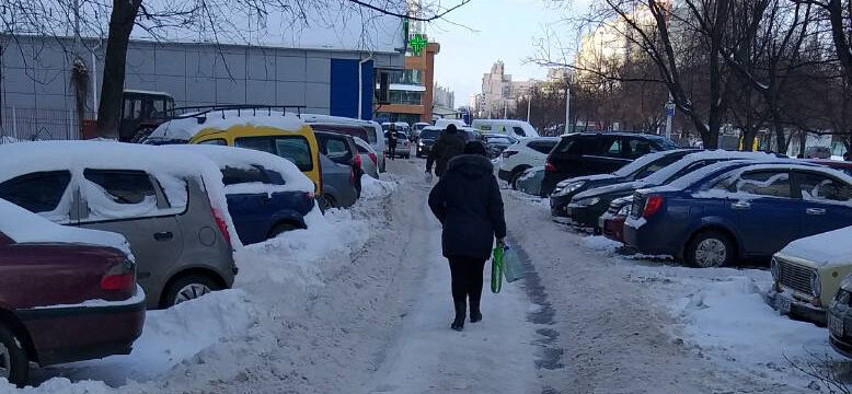 Снігове царство Дарницького району