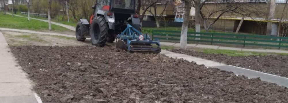 Відновлення газонів
