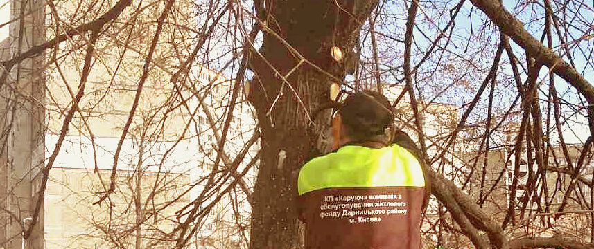 Весняна обрізка дерев